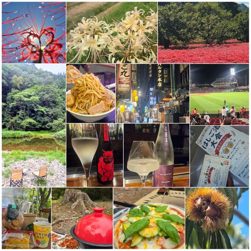 秋満喫ベスト4🍁🍂キャンプと登山とChatGPT 坊ガツル グループキャンプ フリーサイト NATSUさんのキャンプブログ CAMPiii（キャンピー） -キャンプ専用SNS キャンプのすべてがここに集まる-