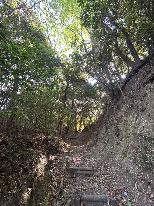 前日宅呑み中🍺思いたっての低山ハイク🥾 大楠山 ソロキャンプ Genさんのキャンプブログ CAMPiii（キャンピー） -キャンプ専用SNS キャンプのすべてがここに集まる-