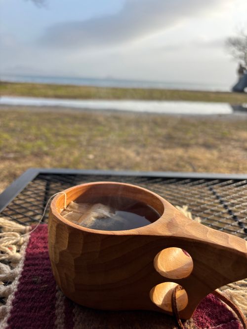 オリンピックで毎日涙涙涙『感動したっ！』 六ツ矢崎浜オートキャンプ場 ソロキャンプ フリーサイト とのさんのキャンプブログ CAMPiii（キャンピー） -キャンプ専用SNS キャンプのすべてがここに集まる-