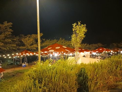 夏と秋の旬を食らい、ついでにキャンプ場下見のくるま旅 &rdquo;DODファン必見！&rdquo; 道の駅 和 ファミリーキャンプ キャンピングカー vios outdoor'sさんのキャンプブログ CAMPiii（キャンピー） -キャンプ専用SNS キャンプのすべてがここに集まる-