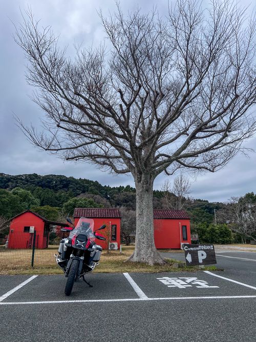 千葉のCampsite TORAMIで冬キャン グループキャンプ 区画サイト tokunaga007さんのキャンプブログ CAMPiii（キャンピー） -キャンプ専用SNS キャンプのすべてがここに集まる-