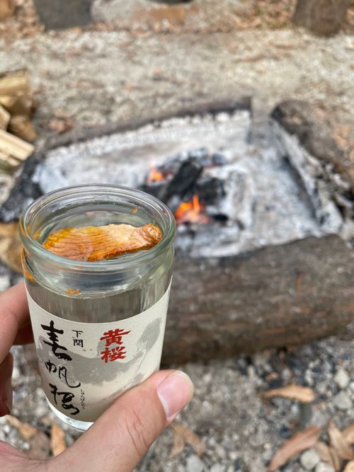 薪放題に満足🪵 くにあきの森：あなたまかせのキャンプ場 グループキャンプ ソロキャンプ フリーサイト もるがんさんのキャンプブログ CAMPiii（キャンピー） -キャンプ専用SNS キャンプのすべてがここに集まる-