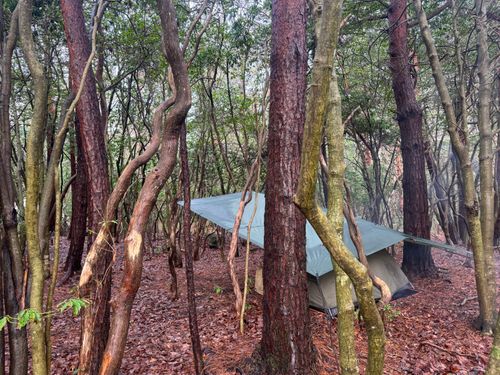 春の土砂降りキャンプ PICA富士西湖 ソロキャンプ 区画サイト フリーサイト まっつんさんのキャンプブログ CAMPiii（キャンピー） -キャンプ専用SNS キャンプのすべてがここに集まる-