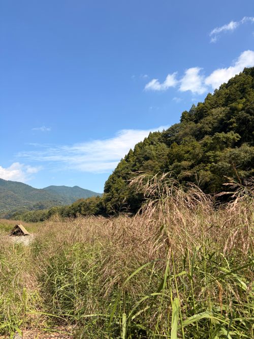 田舎っぺの汚宿🍂 前川キャンプ場 ソロキャンプ フリーサイト Camp 'n'g  Roll♪🏁さんのキャンプブログ CAMPiii（キャンピー） -キャンプ専用SNS キャンプのすべてがここに集まる-