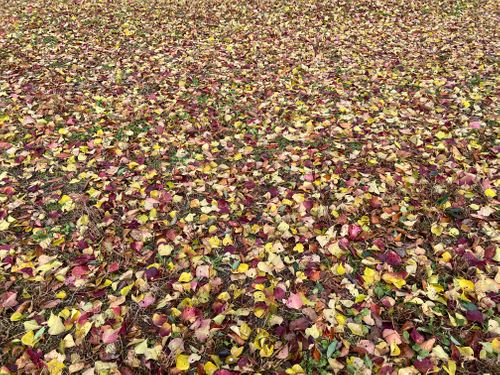 遠征キャンプ② 琵琶湖 ソロキャンプ YOTIさんのキャンプブログ CAMPiii（キャンピー） -キャンプ専用SNS キャンプのすべてがここに集まる-