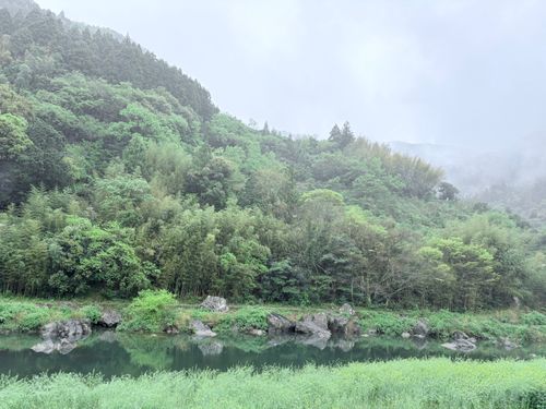 春雨&times;焚き火 前川キャンプ場 ソロキャンプ フリーサイト Camp 'n'g  Roll♪🏁さんのキャンプブログ CAMPiii（キャンピー） -キャンプ専用SNS キャンプのすべてがここに集まる-