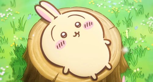 雨キャン覚悟がお天気回復でヒャッハー♫なおじおば🐰🐰キャン△ in 吉部フォレストクラブ犬ヶ迫キャンプ場 〜 CAMP NO.213 吉部フォレストクラブ犬ヶ迫キャンプ場 ファミリーキャンプ グループキャンプ 区画サイト おじキャン△さんのキャンプブログ CAMPiii（キャンピー） -キャンプ専用SNS キャンプのすべてがここに集まる-