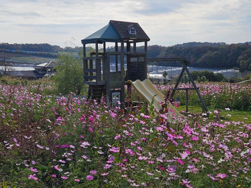 雲海キャンプ➃は雨☔ 花の駅せら オートキャンプ場 ソロキャンプ 区画サイト オートサイト 三代目とっしぃさんのキャンプブログ CAMPiii（キャンピー） -キャンプ専用SNS キャンプのすべてがここに集まる-