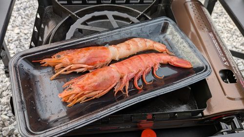 キャンプ再開して、同じとこへ　No.45 South One Village 館山 グループキャンプ ソロキャンプ 区画サイト すーつさんのキャンプブログ CAMPiii（キャンピー） -キャンプ専用SNS キャンプのすべてがここに集まる-