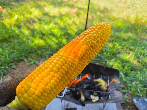 新しい生活、新しい拠点 関宿あおぞら広場 ソロキャンプ 区画サイト やんさんのキャンプブログ CAMPiii（キャンピー） -キャンプ専用SNS キャンプのすべてがここに集まる-