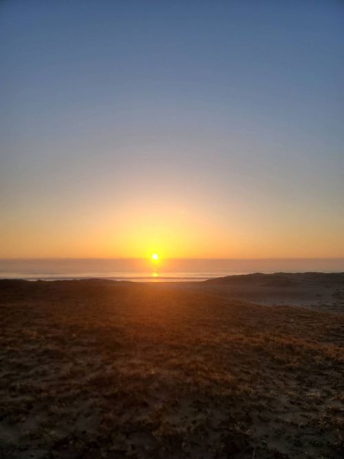 海岸巡り🎣キャンプ Beach Camp九十九里 ファミリーキャンプ オートサイト 区画サイト 夢見るクマさんのキャンプブログ CAMPiii（キャンピー） -キャンプ専用SNS キャンプのすべてがここに集まる-