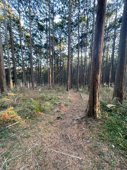 徒歩ソロで行く、いこいの森 RECAMP おだわら 小田原市いこいの森 RECAMP おだわら ソロキャンプ 区画サイト ma9さんのキャンプブログ CAMPiii（キャンピー） -キャンプ専用SNS キャンプのすべてがここに集まる-