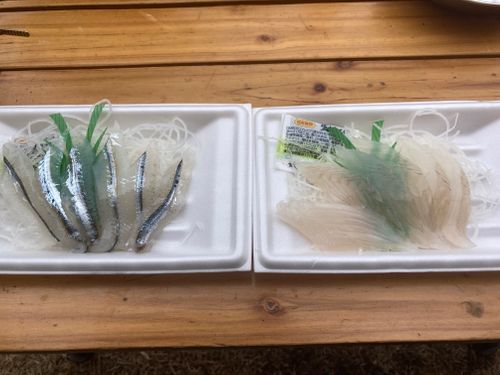 海辺で2泊😆 片添ケ浜オートキャンプ場 ファミリーキャンプ 区画サイト オートサイト masaさんのキャンプブログ CAMPiii（キャンピー） -キャンプ専用SNS キャンプのすべてがここに集まる-