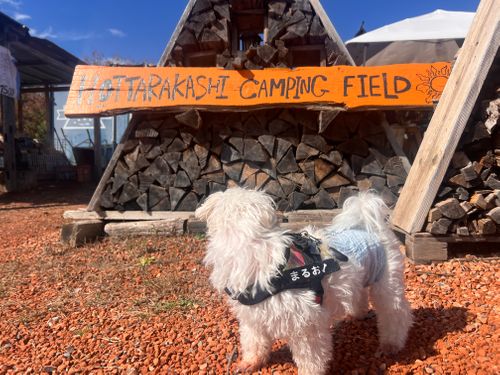 第83話  ほったらかしキャンプ場やっとこさ来れた〜 ほったらかしキャンプ場 ソロキャンプ 区画サイト ちろ犬さんのキャンプブログ CAMPiii(キャンピー) -キャンプ専用SNS キャンプのすべてがここに集まる-