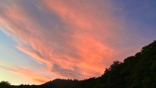 CAMPiii（キャンピー） すずさんのキャンプブログ 僕らの夏休み🌻Part3 キャンプグランド・ベアーベル
