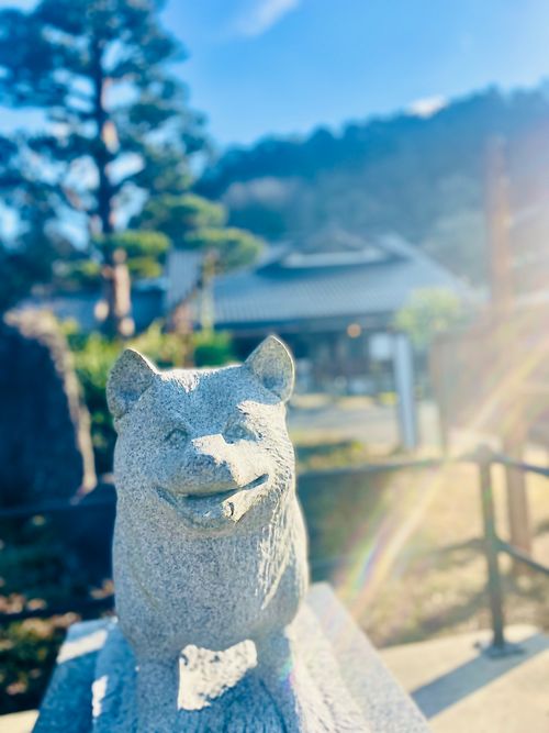 これはデジャヴ？雪中おじおばうさキャン△リターンズ in 小板まきばの里キャンプ場 〜 CAMP NO.174 小板まきばの里キャンプ場 ファミリーキャンプ グループキャンプ 区画サイト おじキャン△さんのキャンプブログ CAMPiii（キャンピー） -キャンプ専用SNS キャンプのすべてがここに集まる-