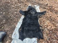 CAMPiii（キャンピー） ぞのさんさんのキャンプギア マット ノーブランド