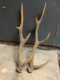 CAMPiii（キャンピー） 🔥焚き火🔥さんのキャンプギア その他 ノーブランド