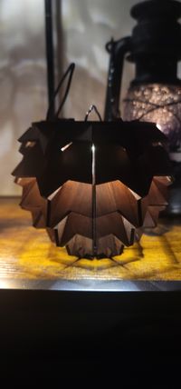 CAMPiii（キャンピー） Gsanさんのキャンプギア LED BELKROOT