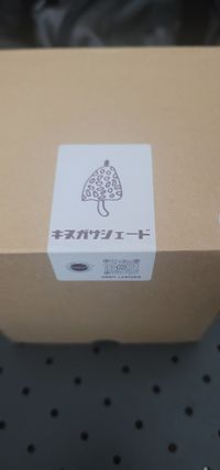 CAMPiii（キャンピー） Gsanさんのキャンプギア LED HABIT Leather