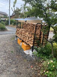 CAMPiii（キャンピー） りゅうさんのキャンプギア 薪 ハンドメイド
