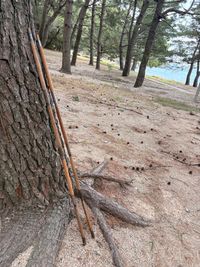 CAMPiii(キャンピー) camping roll♪さんのキャンプギア ポール ノルウェー軍