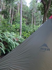 CAMPiii（キャンピー） ちゃんさんのキャンプギア テント MSR