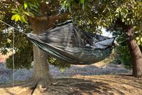 CAMPiii（キャンピー） YUANさんのキャンプギア テント DD Hammocks