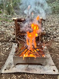 CAMPiii（キャンピー） ASAPさんのキャンプギア 焚火台 WOLF&GRIZZLY