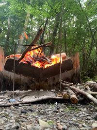 CAMPiii（キャンピー） ASAPさんのキャンプギア 焚火台 ピコグリル