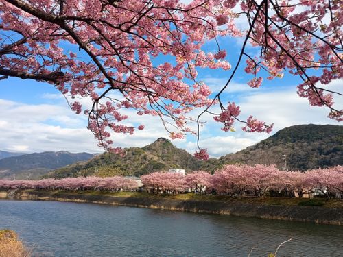 ルーマニア軍  その他 コットンミトン ウエィダーさんのキャンプギア CAMPiii（キャンピー） -キャンプ専用SNS キャンプのすべてがここに集まる-