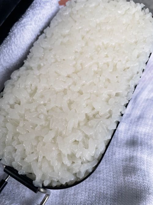 ダイソー その他 メスティン ぺちゃさんのキャンプギア CAMPiii(キャンピー) -キャンプ専用SNS キャンプのすべてがここに集まる-