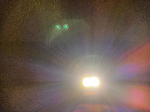 NITECORE ライティング LED YOTIさんのキャンプギア CAMPiii（キャンピー） -キャンプ専用SNS キャンプのすべてがここに集まる-