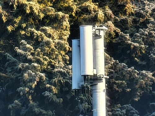 oppo その他 スマホ ぞのさんさんのキャンプギア CAMPiii（キャンピー） -キャンプ専用SNS キャンプのすべてがここに集まる-