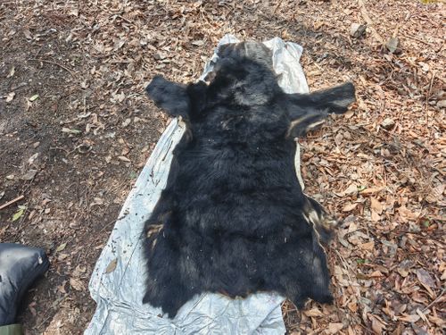 ノーブランド スリーピング マット ぞのさんさんのキャンプギア CAMPiii（キャンピー） -キャンプ専用SNS キャンプのすべてがここに集まる-