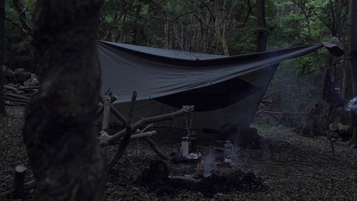DD Hammocks ディーディー ハンモック ファニチャー ハンモック TORUさんのキャンプギア CAMPiii(キャンピー) -キャンプ専用SNS キャンプのすべてがここに集まる-