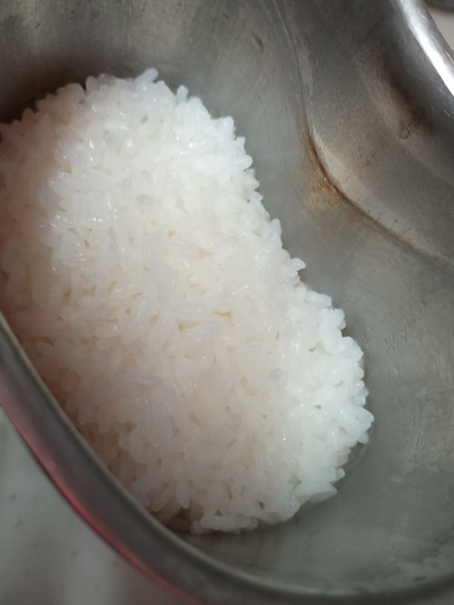 US クーラーボックス、ジャグ ウォータータンク ウエィダーさんのキャンプギア CAMPiii（キャンピー） -キャンプ専用SNS キャンプのすべてがここに集まる-