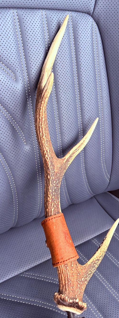 FUJIHAKONE GIBIER ライティング ランタン camping roll♪さんのキャンプギア CAMPiii（キャンピー） -キャンプ専用SNS キャンプのすべてがここに集まる-