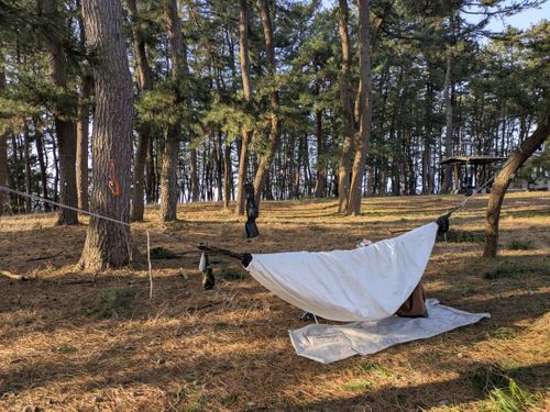 AXESQUIN 凌 その他 Hammock gajumaruさんのキャンプギア CAMPiii（キャンピー） -キャンプ専用SNS キャンプのすべてがここに集まる-