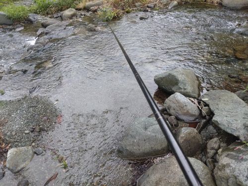 DAIWA その他 釣竿 ひげさんさんのキャンプギア CAMPiii（キャンピー） -キャンプ専用SNS キャンプのすべてがここに集まる-
