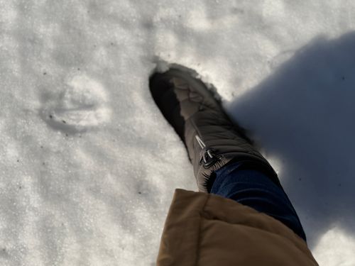 ノーブランド その他 雪中キャンプに用意したものたち ぐうたら夫婦さんのキャンプギア CAMPiii（キャンピー） -キャンプ専用SNS キャンプのすべてがここに集まる-