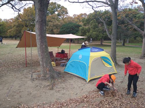 Coleman コールマン テント、タープ タープ ｷｬﾑﾗｰ@RMS099さんのキャンプギア CAMPiii（キャンピー） -キャンプ専用SNS キャンプのすべてがここに集まる-