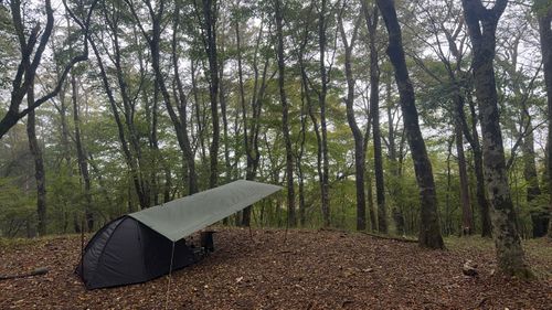 ノーブランド テント、タープ タープ まっつんさんのキャンプギア CAMPiii（キャンピー） -キャンプ専用SNS キャンプのすべてがここに集まる-