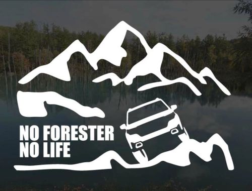 SUBARU ツール キャリーカート フォレキャンさんのキャンプギア CAMPiii(キャンピー) -キャンプ専用SNS キャンプのすべてがここに集まる-