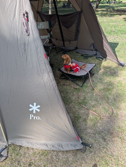 snow peak スノーピーク テント、タープ テント yosihikozc4さんのキャンプギア CAMPiii（キャンピー） -キャンプ専用SNS キャンプのすべてがここに集まる-